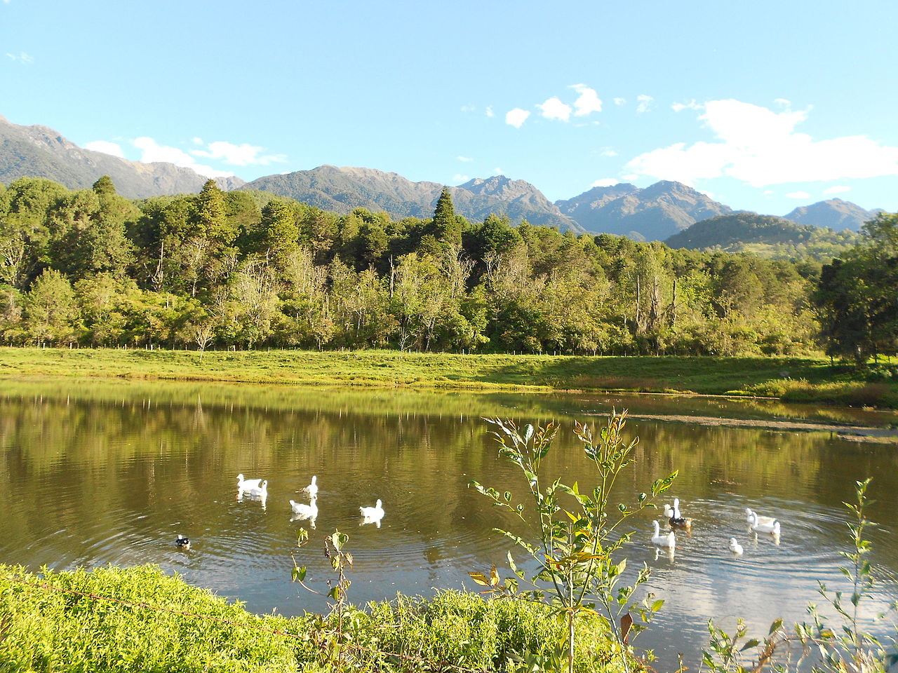 Environmental Protection and Sustainability